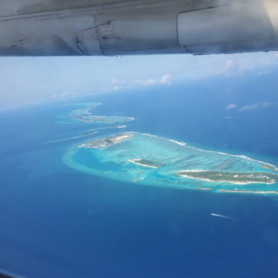 Untitled design (31)